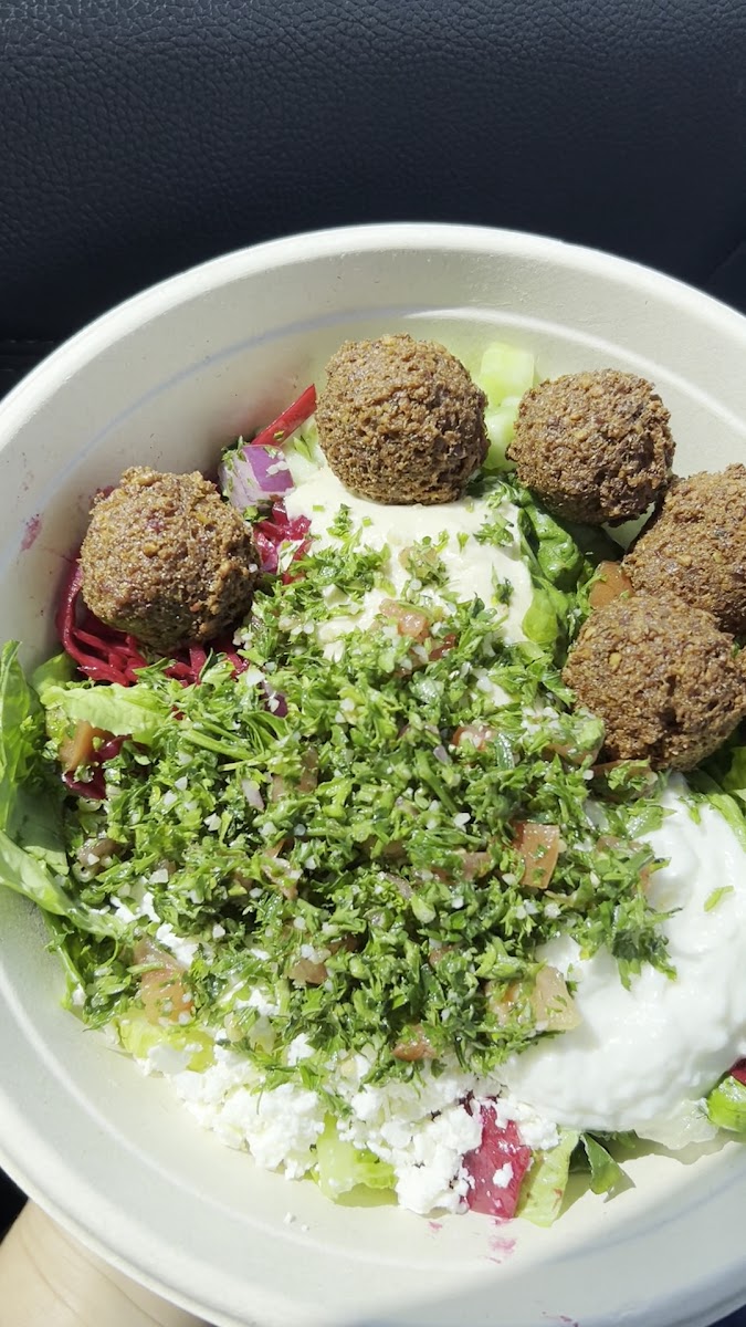 Zaytoon Mediterranean Grill Photo 2