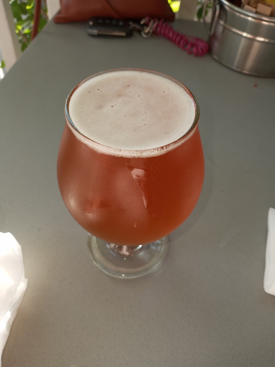 Moondog Cafe Key West Photo 6