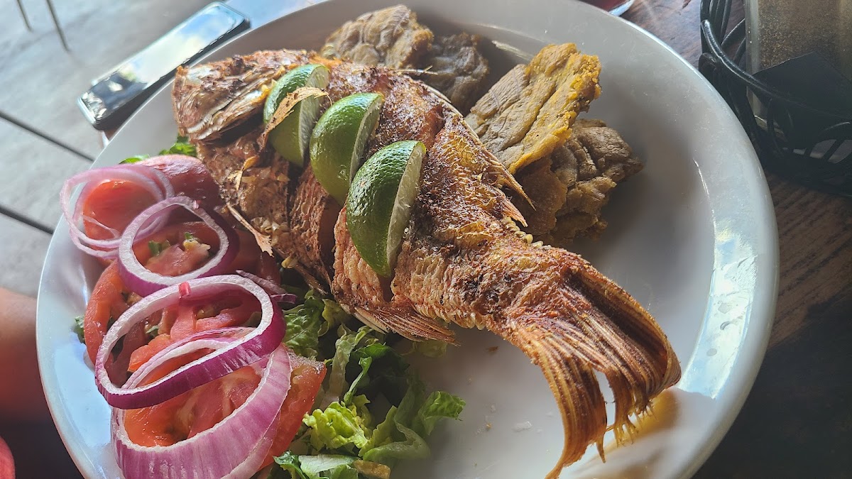 Sofrito Latin Cafe Photo 9