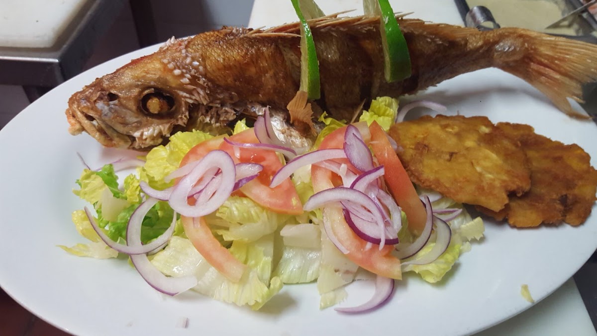 Ceviche House Photo 8