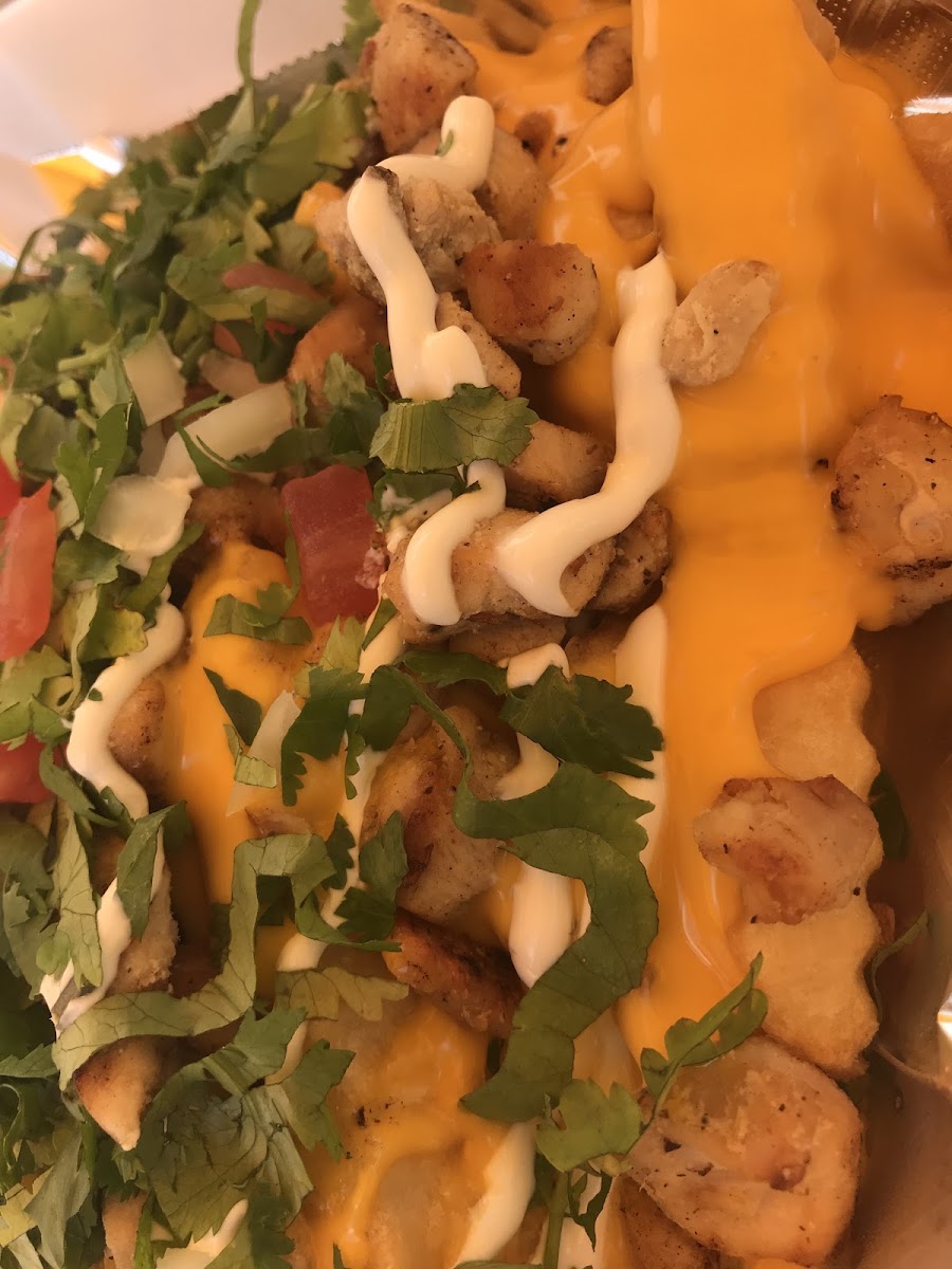 Dulce Vida Mexican Restaurant Photo 7