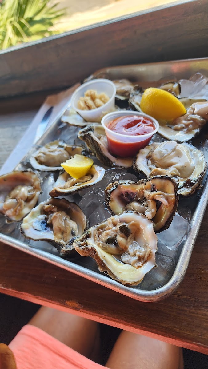 Salty Pelican Bar & Grill Photo 8