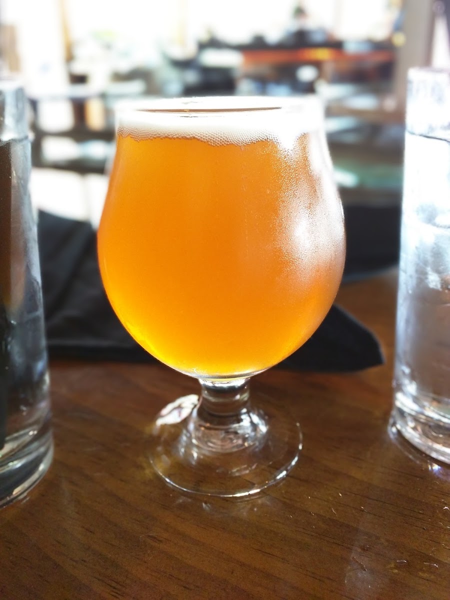 Biergarden Encinitas Photo 6