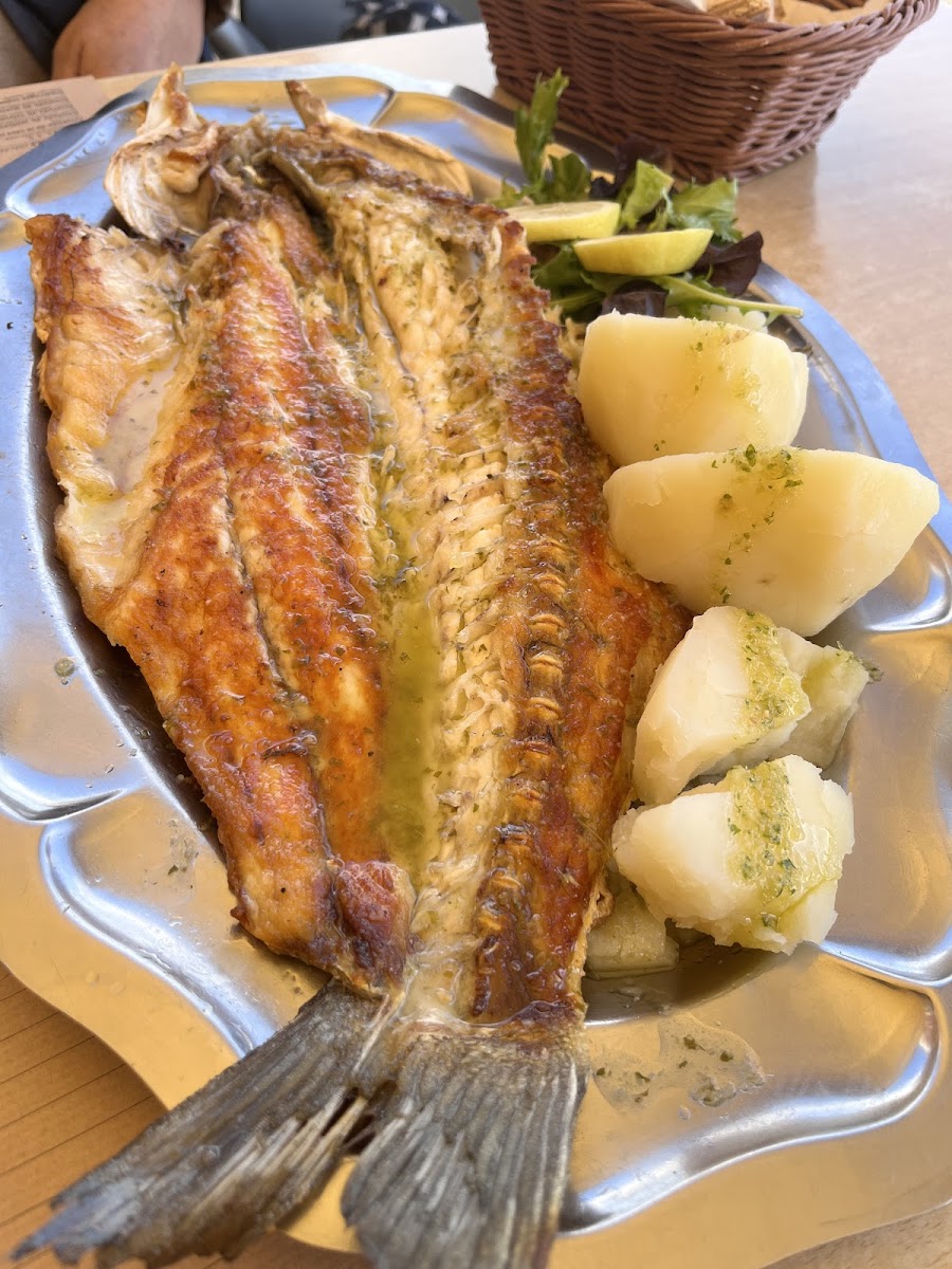 Restaurante Pepecho Photo 3