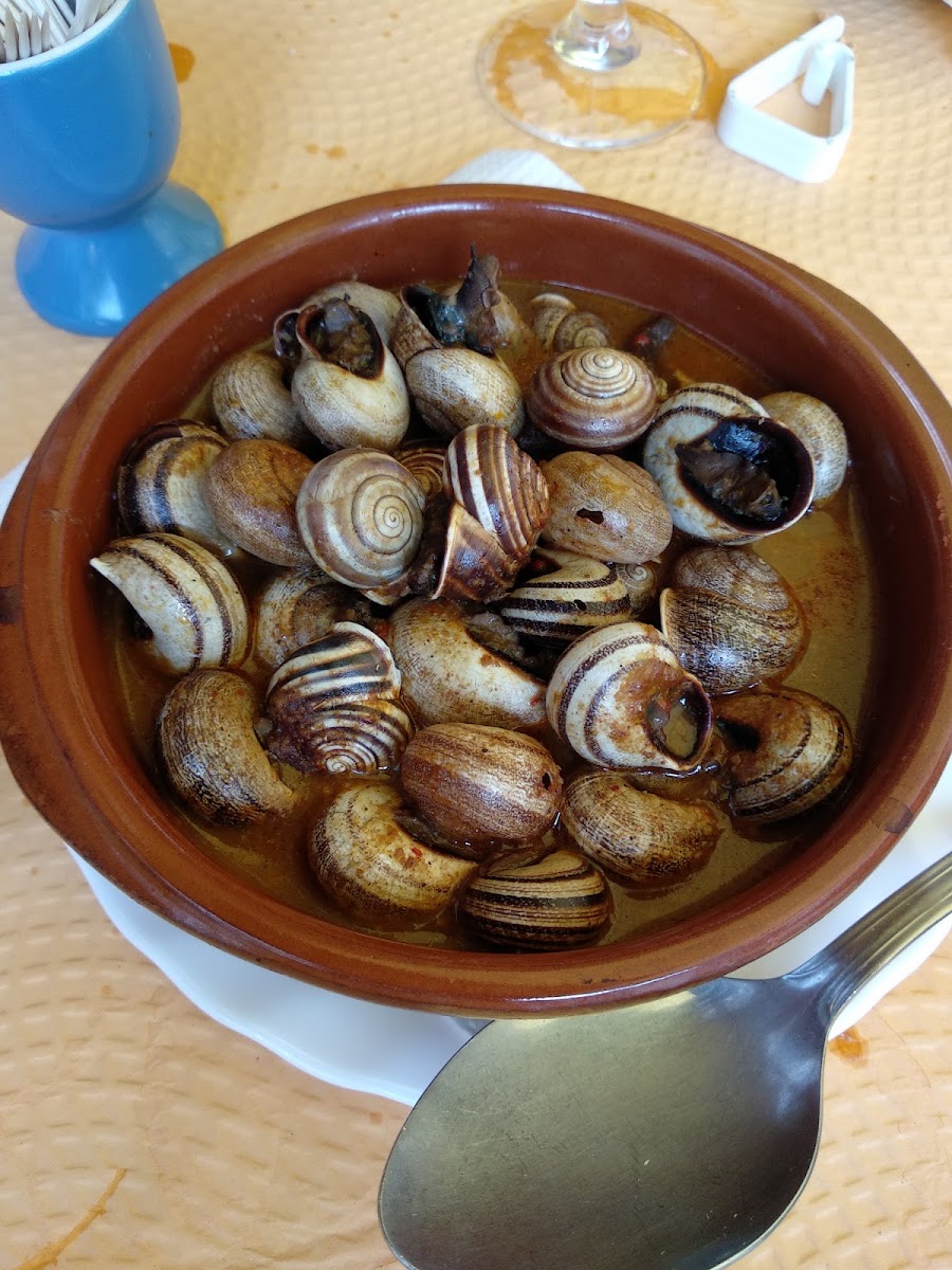 La Tapería de Benalmádena Photo 8