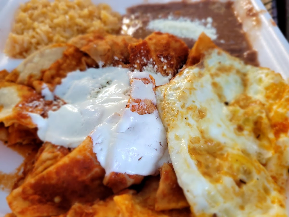 El Antojito Grill Photo 6