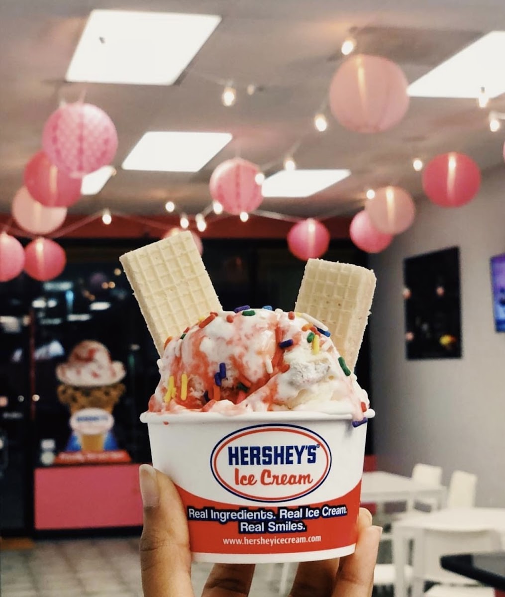 Hershey’s Ice Cream Photo 3