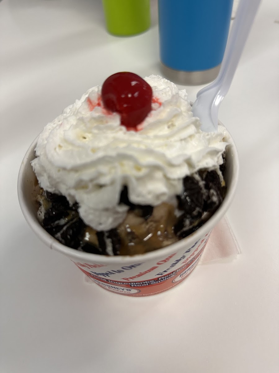 Hershey’s Ice Cream Photo 9