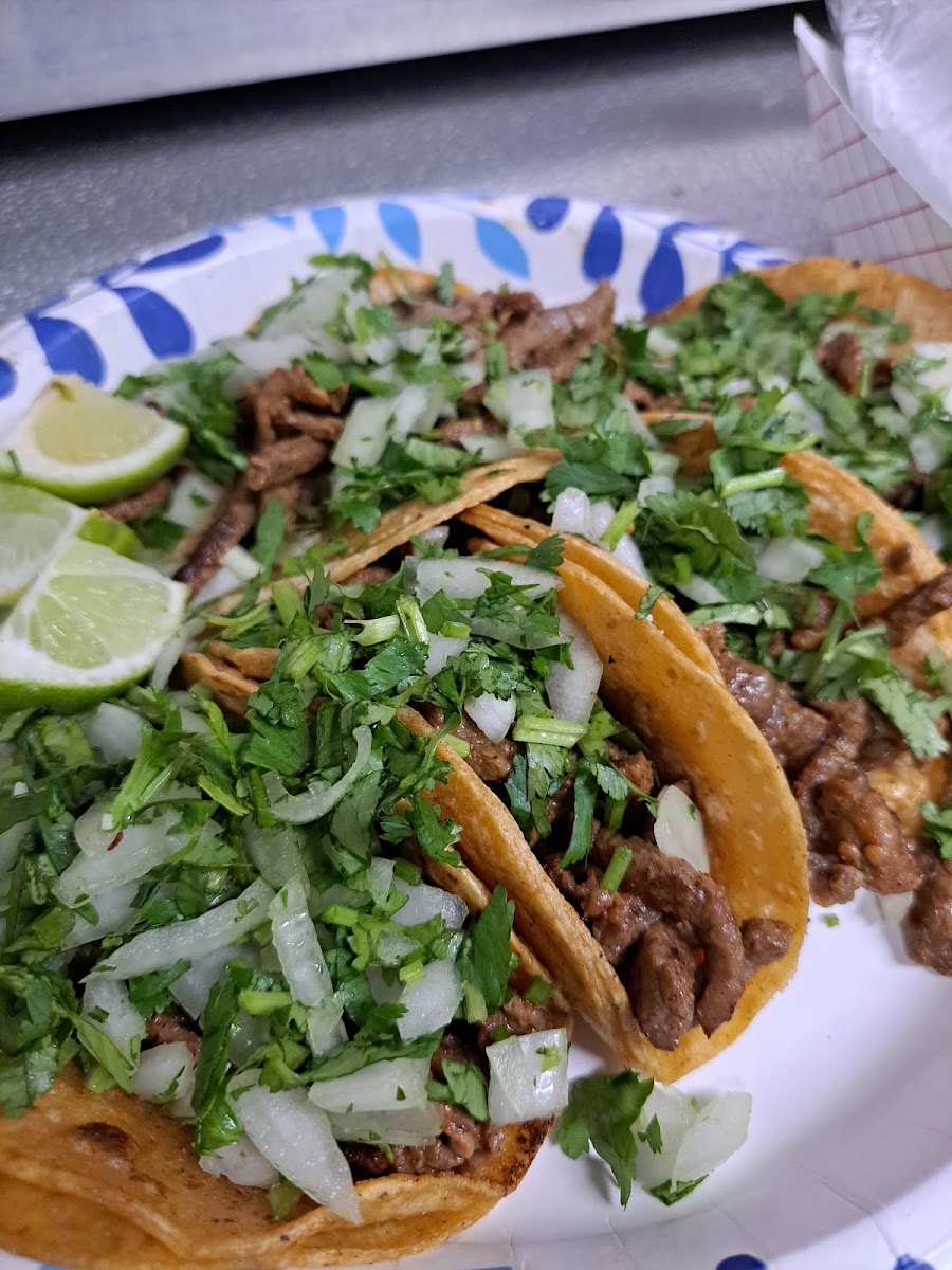 El Guero Tacos Punta Gorda Photo 7